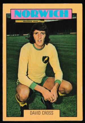 A&BC - 'Footballers (1973-74 S2 Blue Back)' (1973) - Card #250 - David Cross (Norwich City)