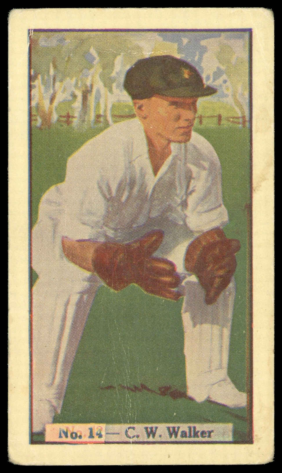 Allen's - 'Cricketers (Q-T Fruit)' (1938) - C.W. Walker (South Australia) Allen's - 'Cricketers (Q-T Fruit)' (1938) - C.W. Walker (South Australia)