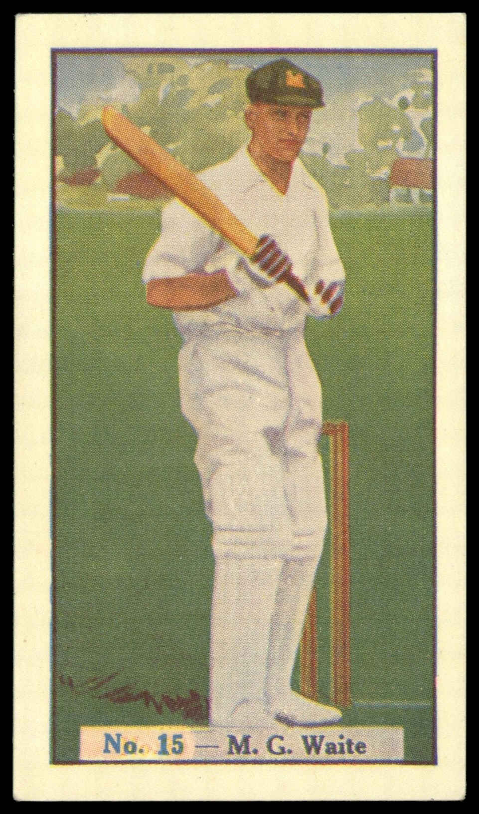 Allen's - 'Cricketers (Steam Rollers)' (1938) - M.G. Waite (South Australia) Allen's - 'Cricketers (Steam Rollers)' (1938) - M.G. Waite (South Australia)