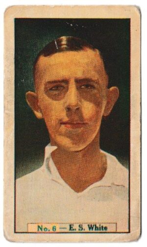 Allen's - 'Cricketers (Coloured)' (1936) - Card #6 - E.S. White (New South Wales)