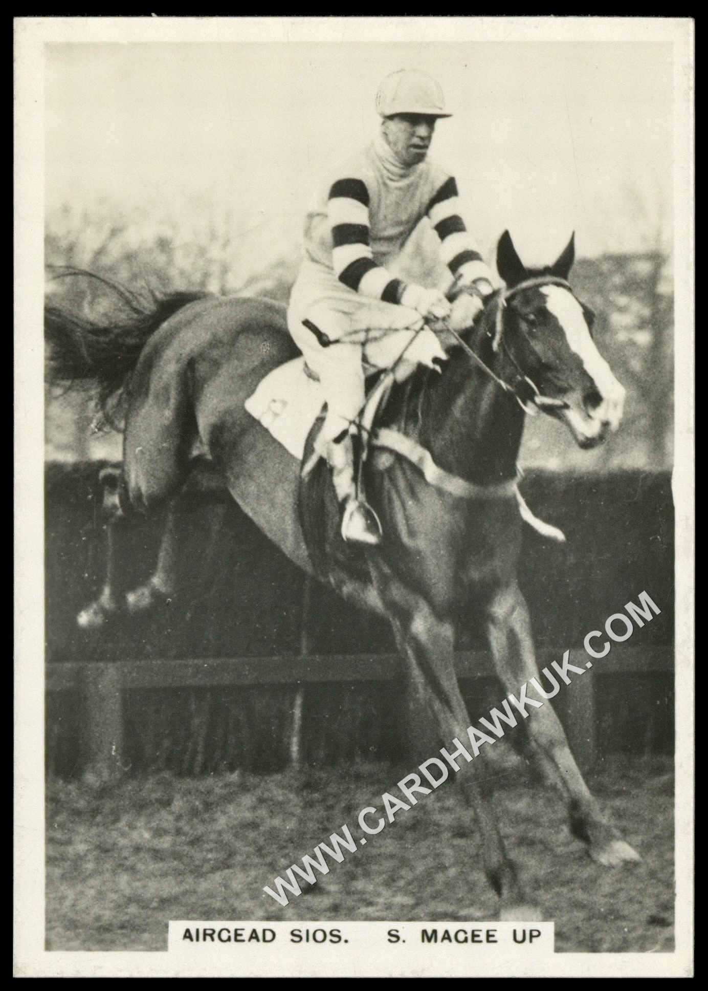 Ardath - 'Photocards Group D - Sports & Misc' (1937) - Argead Sios Ardath - 'Photocards Group D - Sports & Misc' (1937) - Argead Sios