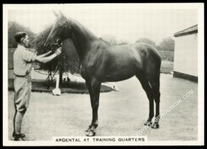 Ardath - 'Photocards Group D - Sports & Misc' (1937) - Argental