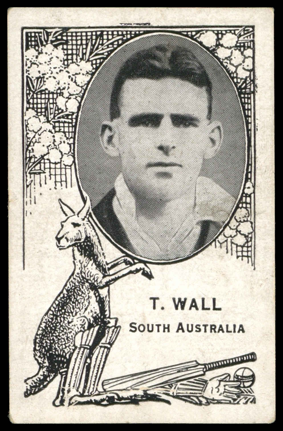 Barratt - 'Australian Test Players' (1930) - T. Wall (South Australia) Barratt - 'Australian Test Players' (1930) - T. Wall (South Australia)