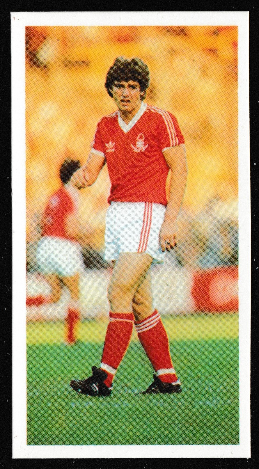 Bassett - 'Footballers 1981-82' (1981) - Gary Mills (Nottingham Forest) Bassett - 'Footballers 1981-82' (1981) - Gary Mills (Nottingham Forest)