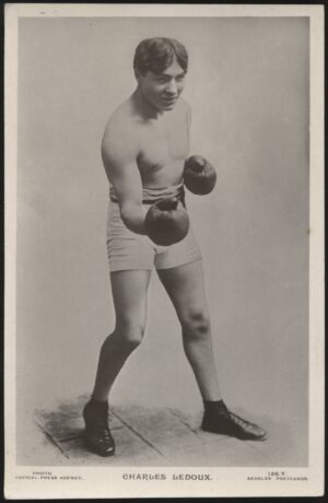 Beagles - 'Charles Ledoux 156.Y.' (c1923) - Unused Boxing Postcard