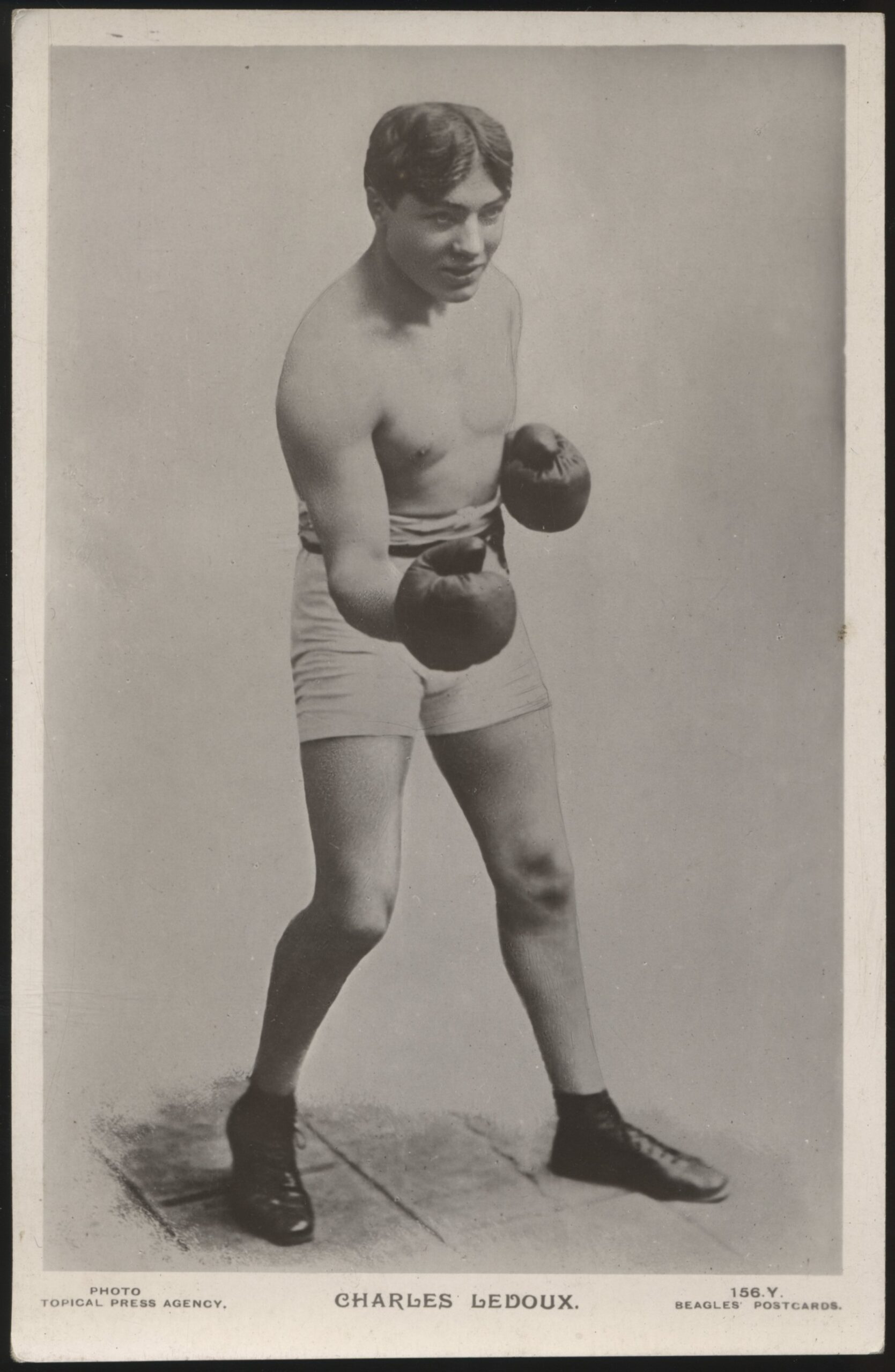 Beagles - 'Charles Ledoux 156.Y.' (c1923) - Unused Boxing Postcard Beagles - 'Charles Ledoux 156.Y.' (c1923) - Unused Boxing Postcard