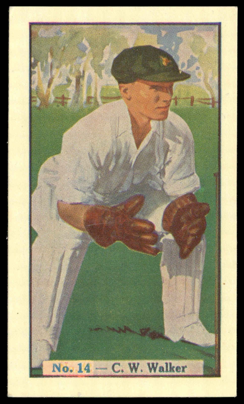 Boys Captain - 'Australian Cricketers' (1938) - C.W. Walker (South Australia) Boys Captain - 'Australian Cricketers' (1938) - C.W. Walker (South Australia)