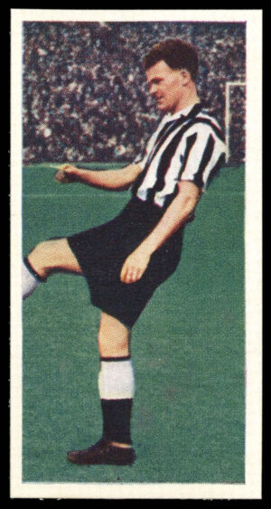 Cadet - 'Footballers (28mm Inverted)' #9 - Alf McMichael (Newcastle United) (1958)