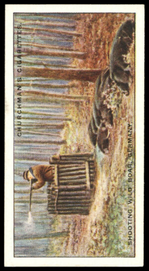 Churchman - 'Sports & Games in Many Lands' (1929) - Shooting Wild Boar - Germany