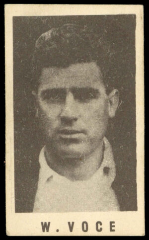 Coles Stores - 'Cricketers (No Frame)' (1946) - Bill Voce (Notts).