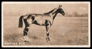 Davies (W.T.) - 'Aristocrats of the Turf' #34 - Feather Bed