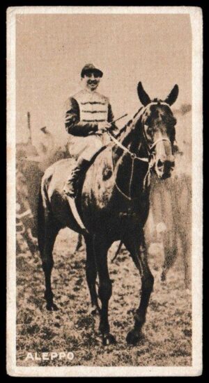 Davies (W.T.) - 'Aristocrats of the Turf' #38 - Aleppo