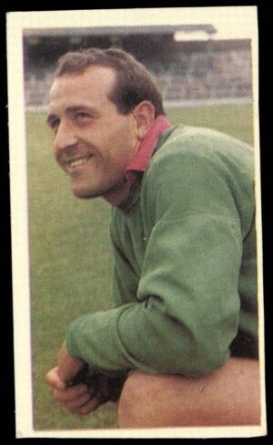Thomson (D.C.) - 'World Cup Stars (Hornet)' (1970) - Ron Springett (Sheff Weds/England) Thomson (D.C.) - 'World Cup Stars (Hornet)' (1970) - Ron Springett (Sheff Weds/England)