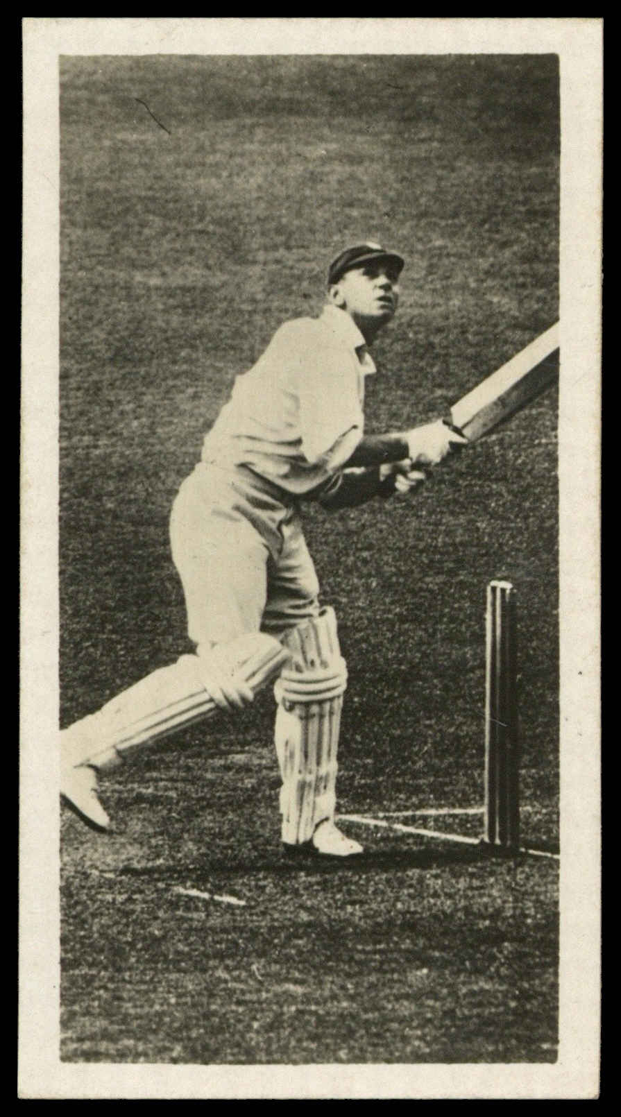 Drapkin - 'Sporting Celebrities in Action' (1930) - Walter Hammond (Gloucestershire) Drapkin - 'Sporting Celebrities in Action' (1930) - Walter Hammond (Gloucestershire)