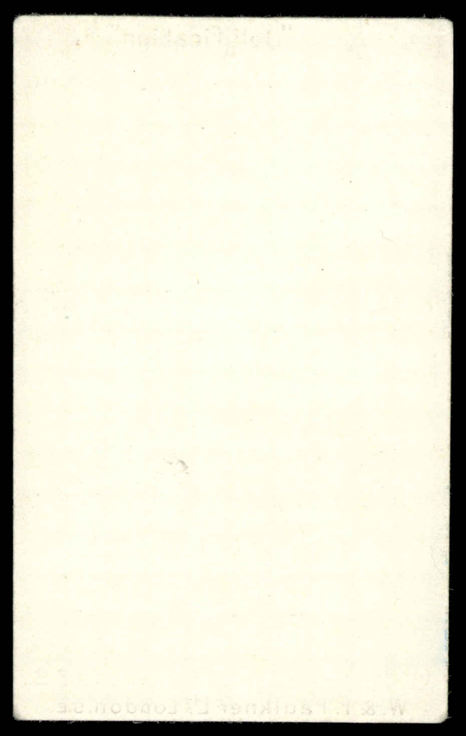 Faulkner - An Outsider - 'Sporting Terms' (1900) #7 Faulkner - An Outsider - 'Sporting Terms' (1900) #7