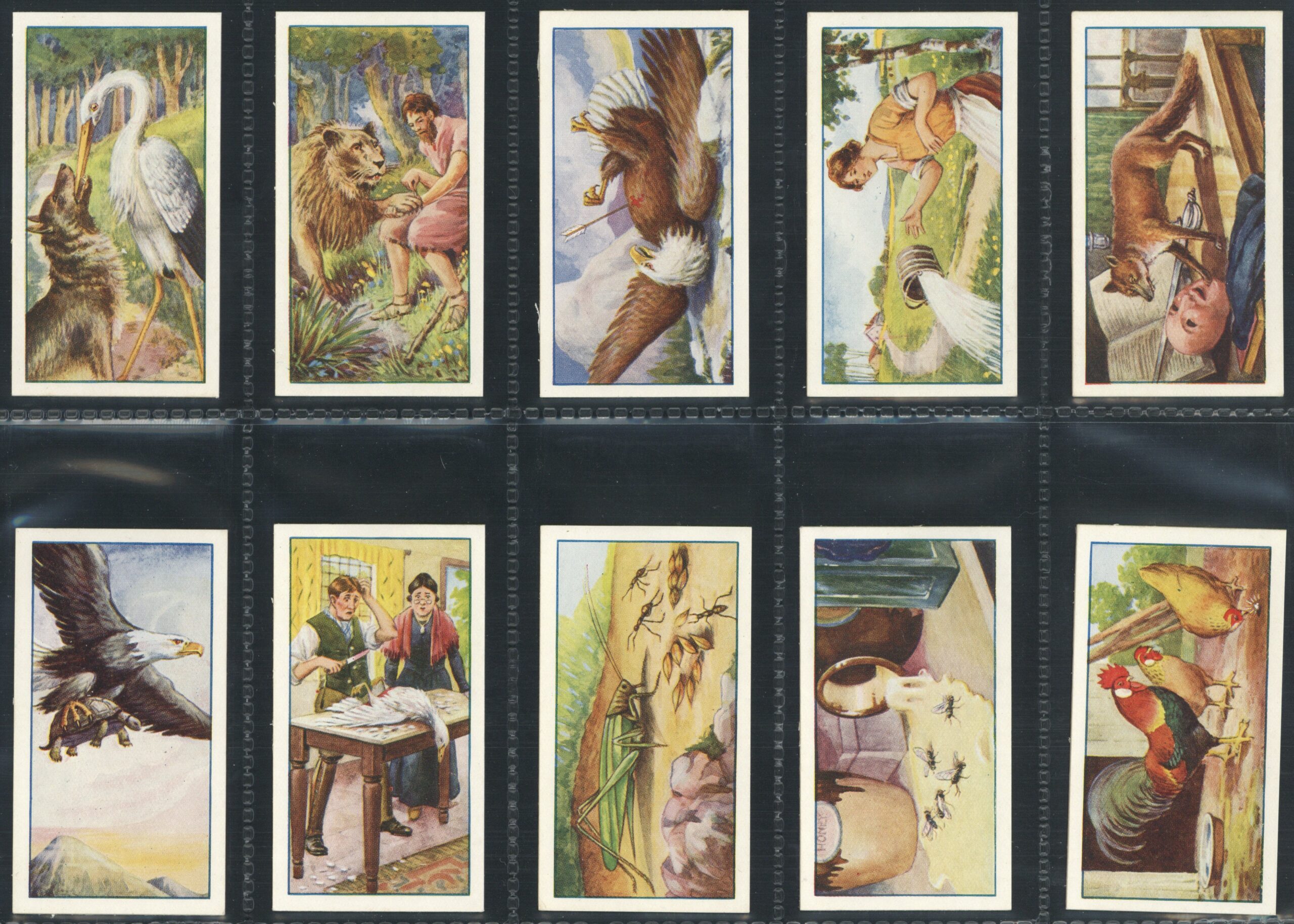Gallaher - 'Aesops Fables (A)' - Complete Set (1931) Gallaher - 'Aesops Fables (A)' - Complete Set (1931)