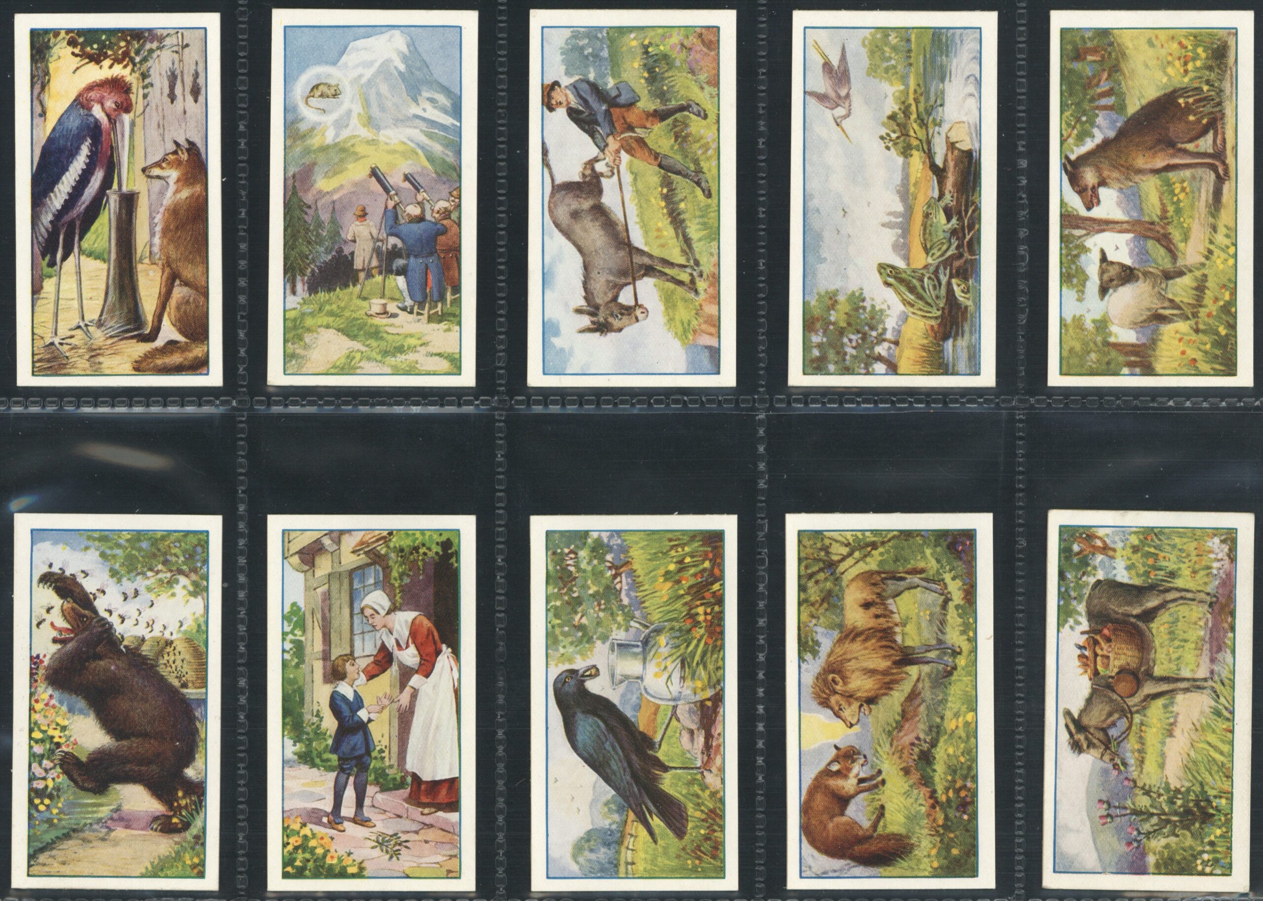 Gallaher - 'Aesops Fables (A)' - Complete Set (1931) Gallaher - 'Aesops Fables (A)' - Complete Set (1931)