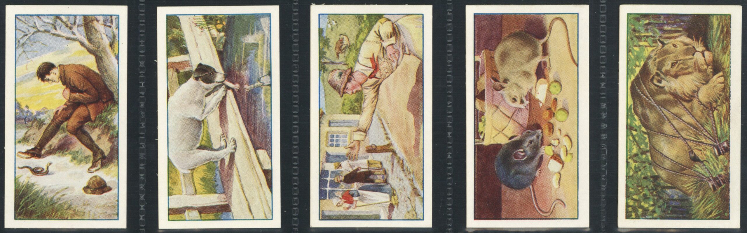 Gallaher - 'Aesops Fables (A)' - Complete Set (1931) Gallaher - 'Aesops Fables (A)' - Complete Set (1931)