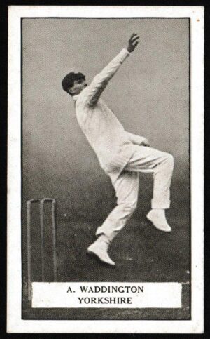 Gallaher - 'Famous Cricketers' (1926) - A. Waddington (Yorkshire) Gallaher - 'Famous Cricketers' (1926) - A. Waddington (Yorkshire)