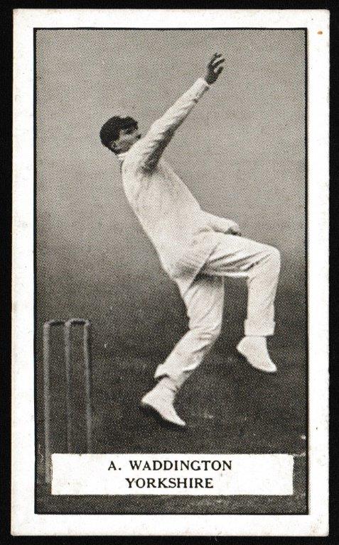 Gallaher - 'Famous Cricketers' (1926) - A. Waddington (Yorkshire) Gallaher - 'Famous Cricketers' (1926) - A. Waddington (Yorkshire)