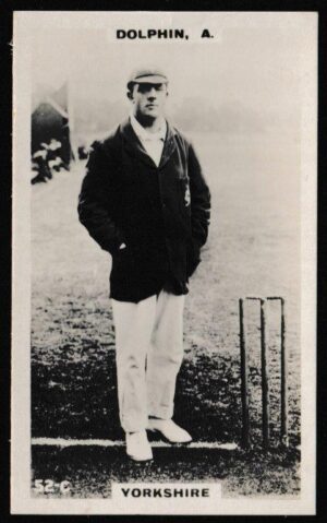 Phillips (Godfrey) - A. Dolphin (Yorkshire) - 'Cricketers (Brown)' (1924) Phillips (Godfrey) - A. Dolphin (Yorkshire) - 'Cricketers (Brown)' (1924)