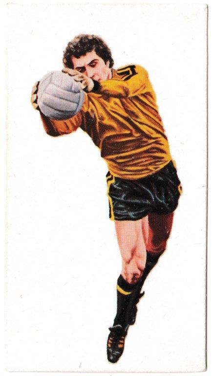 Golden Wonder - 'Soccer All Stars' (1978) - Peter Shilton (Stoke City) Golden Wonder - 'Soccer All Stars' (1978) - Peter Shilton (Stoke City)