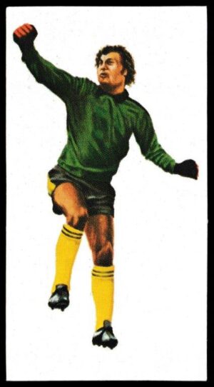 Golden Wonder - 'World Cup Soccer All Stars' (1978) - Sadoq Attouga (Tunisia) Golden Wonder - 'World Cup Soccer All Stars' (1978) - Sadoq Attouga (Tunisia)