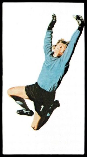 Golden Wonder - 'World Cup Soccer All Stars' (1978) - Sepp Maier (West Germany)