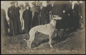 Mark Cook - 'Long Span Winner Waterloo Cup' (1907) - Unused Horse Racing Postcard