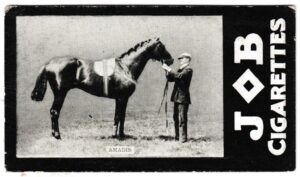 Societe Job - 'Racehorses - 1908/9 Winners' (1909) - Amadis