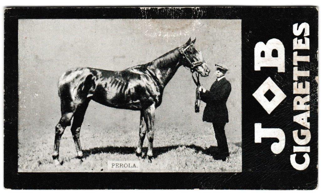 Societe Job - 'Racehorses - 1908/9 Winners' (1909) - Perola Societe Job - 'Racehorses - 1908/9 Winners' (1909) - Perola