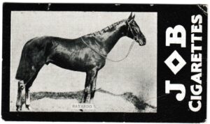 Societe Job - 'Racehorses - 1908/9 Winners' (1909) - Bayardo