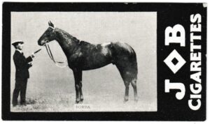 Societe Job - 'Racehorses - 1908/9 Winners' (1909) - Bomba