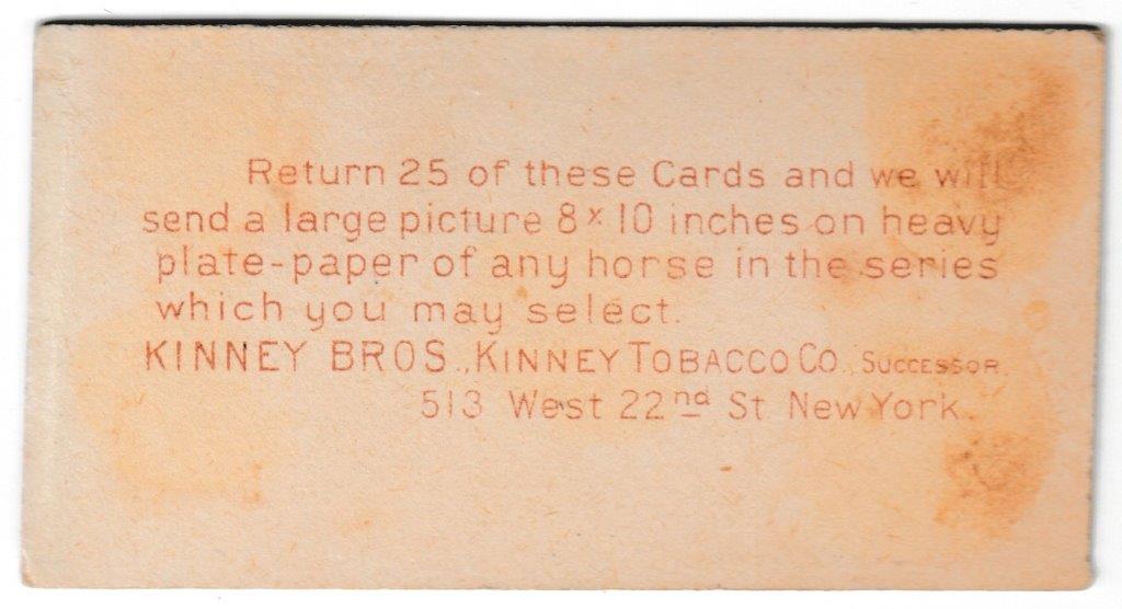 Kinney Bro's - 'Racehorses - English Horses' (1898) - Shotover Kinney Bro's - 'Racehorses - English Horses' (1898) - Shotover