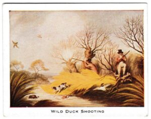 Mac Fisheries - 'Sporting Prints' (1923) - Card #10 - Wild Duck Shooting