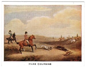 Mac Fisheries - 'Sporting Prints' (1923) - Card #12 - Hare Coursing
