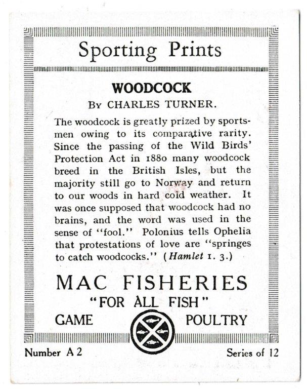 Mac Fisheries - 'Sporting Prints' (1923) - Card #2 - Woodcock Mac Fisheries - 'Sporting Prints' (1923) - Card #2 - Woodcock