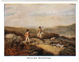 Mac Fisheries - 'Sporting Prints' (1923) - Card #5 - Grouse Shooting