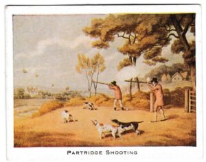 Mac Fisheries - 'Sporting Prints' (1923) - Card #9 - Partridge Shooting