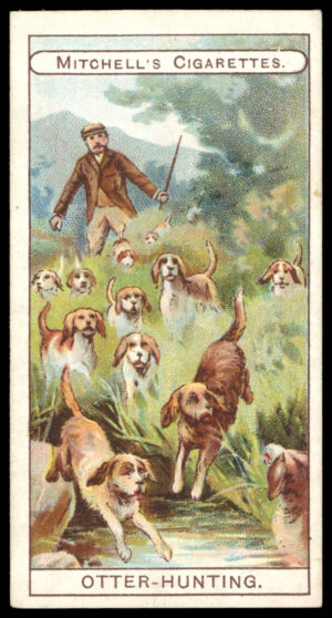 Mitchell - 'Sports' (1907) - Otter-Hunting