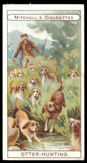 Mitchell - Otter-Hunting - 'Sports' (1907)