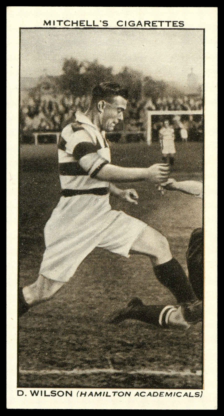 Mitchell - 'Scottish Football Snaps' (1935) - D. Wilson (Hamilton Academicals) Mitchell - 'Scottish Football Snaps' (1935) - D. Wilson (Hamilton Academicals)