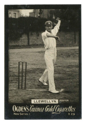 Ogden's - 'Guinea Gold New Series B' (1902) - Llewelyn (Cricket)