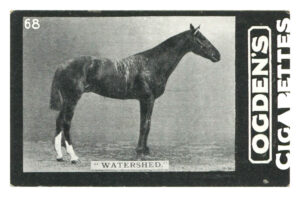 Ogden's - 'Tabs D - Horseracing' (1902) - Watershed - Mr. C.W. Whitney