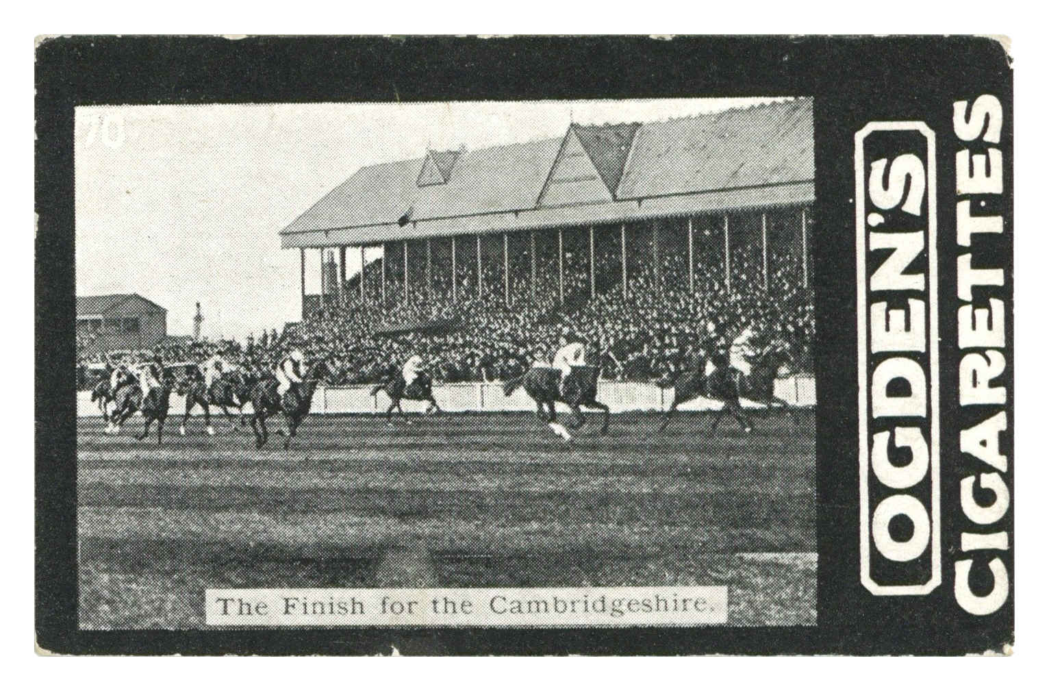 Ogden's - 'Tabs D - Horseracing' (1902) - The Finish for the Cambridgeshire Ogden's - 'Tabs D - Horseracing' (1902) - The Finish for the Cambridgeshire