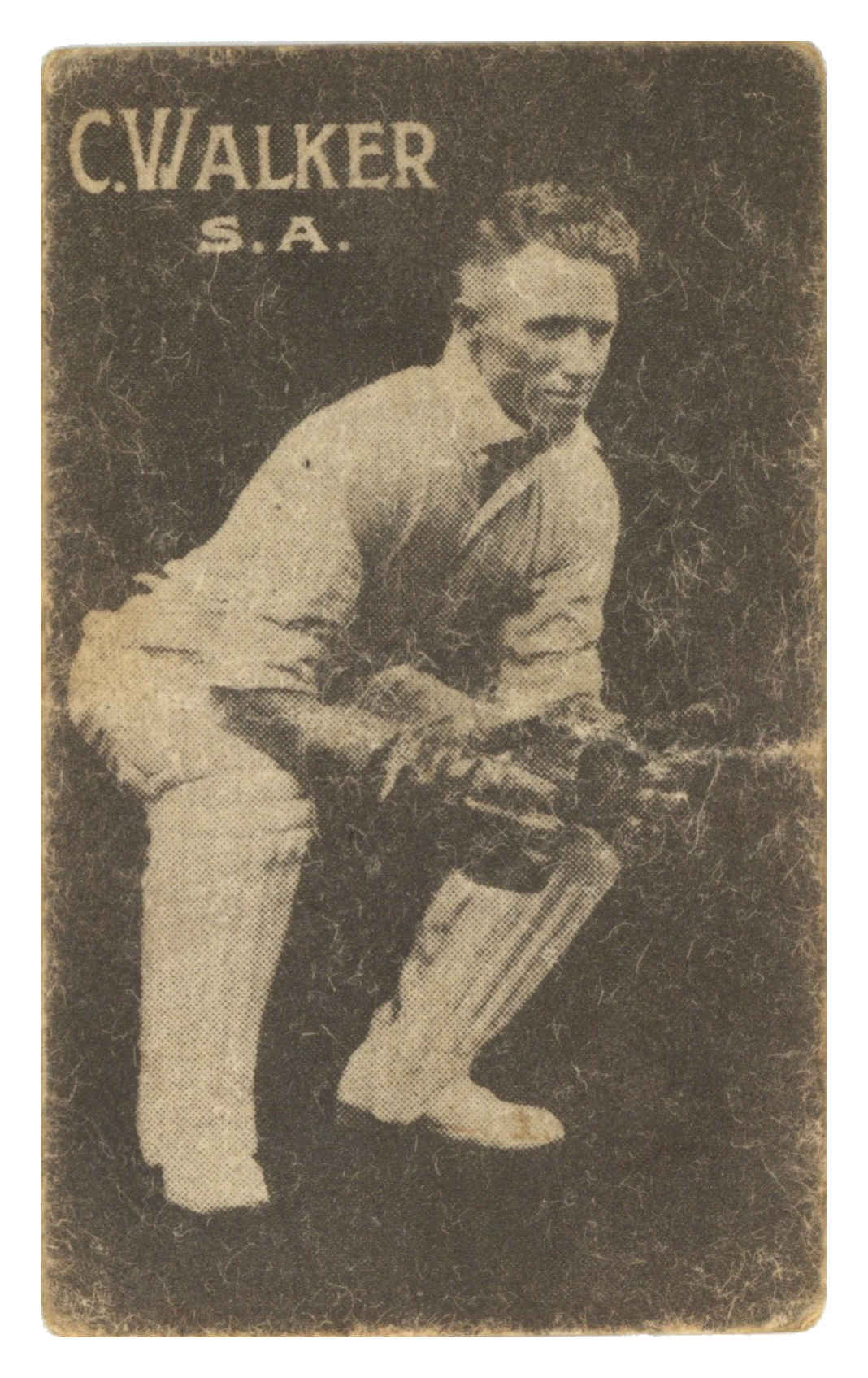 Australian Licorice - 'Australian Cricketers (1930)' (1930) - C. Walker Australian Licorice - 'Australian Cricketers (1930)' (1930) - C. Walker