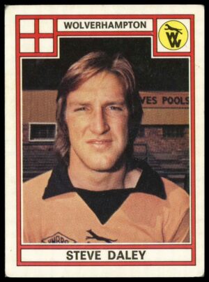 Panini - Steve Daley (Wolverhampton Wanderers) - 'Football 78' (1978) Panini - Steve Daley (Wolverhampton Wanderers) - 'Football 78' (1978)