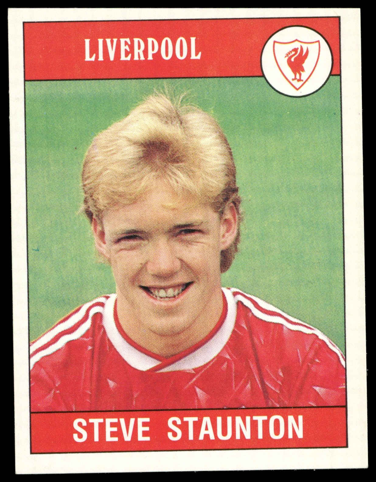 Panini - 'Football 90' (1990) - Steve Staunton (Liverpool) Panini - 'Football 90' (1990) - Steve Staunton (Liverpool)