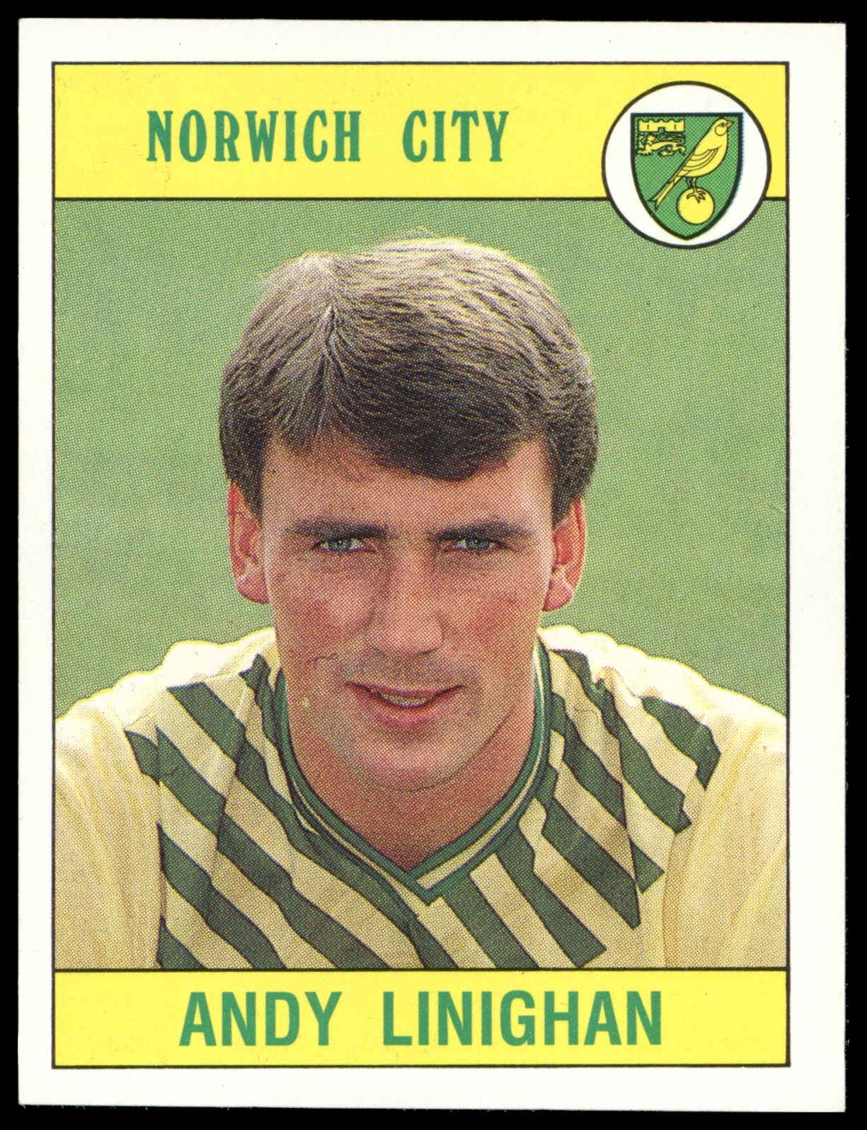 Panini - 'Football 90' (1990) - Andy Linighan (Norwich City) Panini - 'Football 90' (1990) - Andy Linighan (Norwich City)