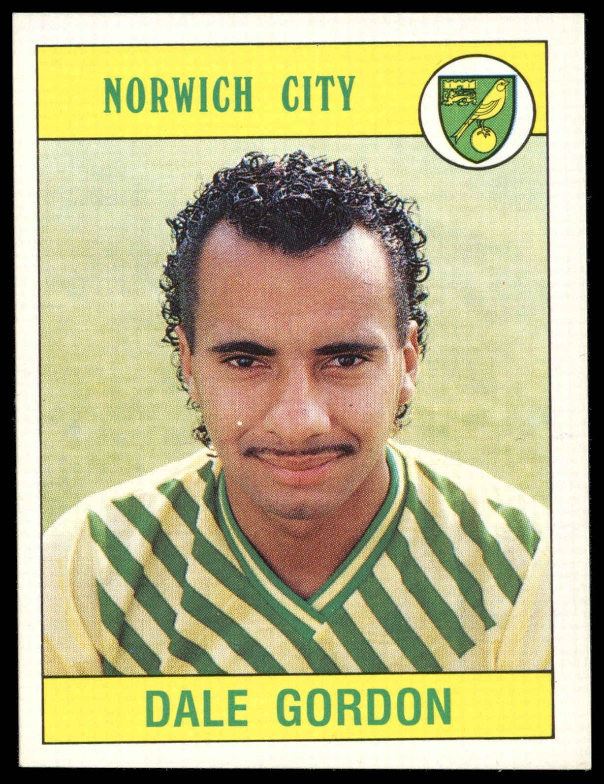 Panini - 'Football 90' (1990) - Dale Gordon (Norwich City) Panini - 'Football 90' (1990) - Dale Gordon (Norwich City)